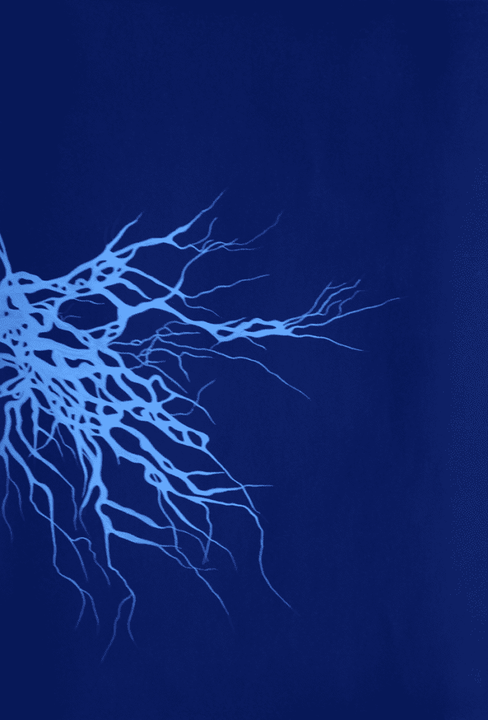 Neurones n°3, 2017, acrylique sur bois, 41,7 x 29,5 cm