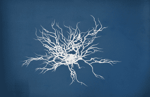 Neurones n°5, 2017, acrylique sur bois, 65 x 100 cm
