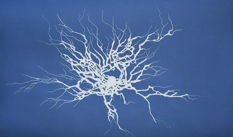 Neurones n°1, 2017, acrylique sur bois, 25,6 x 41,8 cm