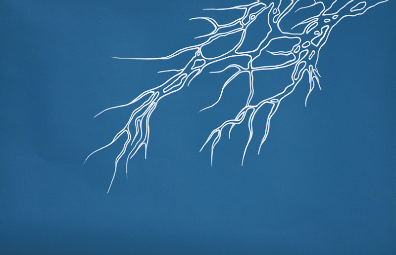 Neurones n°2, 2017, acrylique sur bois, 26,5 x 39,3 cm