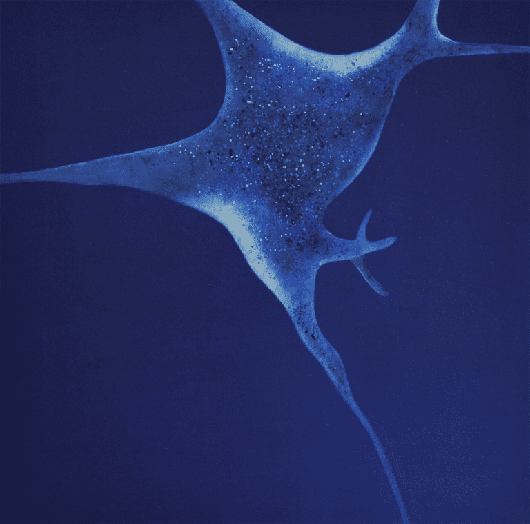 Sans Titre, 2017, acrylique sur bois, 70 x 71 cm