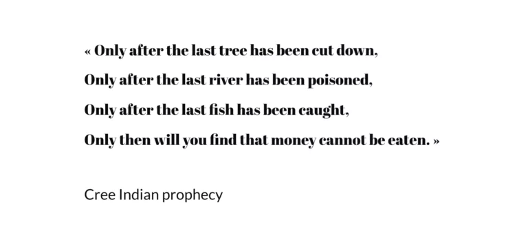 Capture-decran-2024-02-03-a-11.13.53